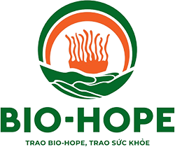 CÔNG TY CỔ PHẦN ĐÔNG TRÙNG HẠ THẢO BIO HOPE