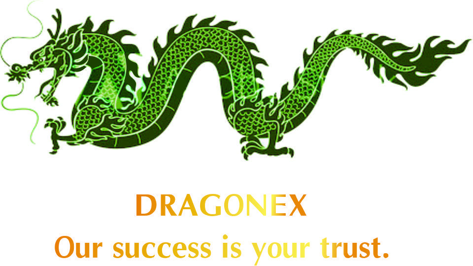 Công Ty TNHH MTV Dragonex Vietnam