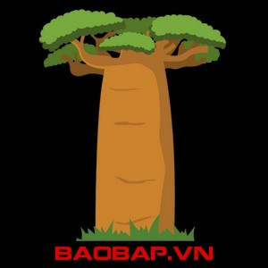 Công Ty TNHH Bao Báp Việt Nam