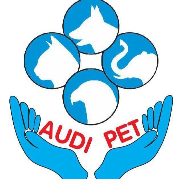 Audi Pet