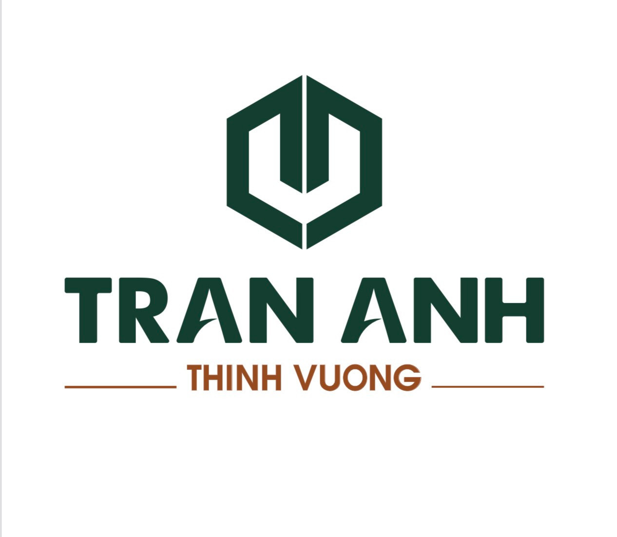 Công Ty Cổ Phần Bất Động Sản Trần Anh Thịnh Vượng