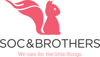 Công ty TNHH Thế giới tuổi thơ SNB (Soc&Brothers)