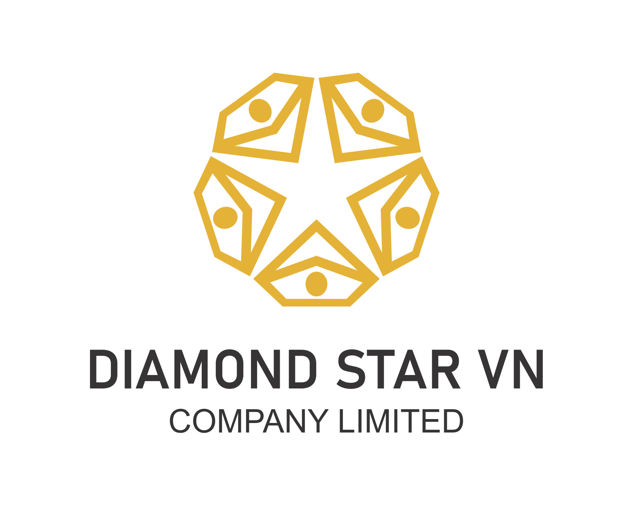 Công Ty TNHH Diamond Star VN