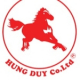 CÔNG TY TNHH XUẤT NHẬP KHẨU THƯƠNG MẠI CÔNG NGHỆ DỊCH VỤ HÙNG DUY
