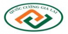 Công Ty Cổ Phần Quốc Cường Gia Lai