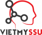 Công Ty Trách Nhiệm Hữu Hạn Việt Mỹ - SSU