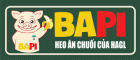 CÔNG TY CỔ PHẦN BAPI HOÀNG ANH GIA LAI - CHI NHÁNH HÀ NỘI