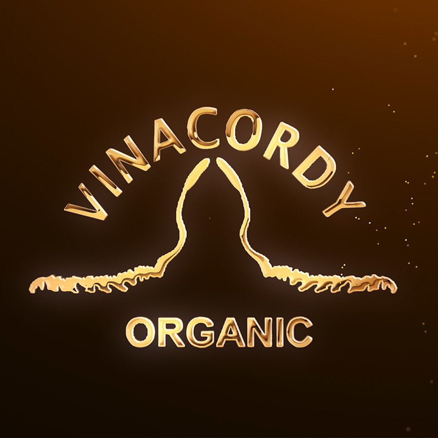 Công Ty Cổ Phần Vinacordy