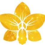 CÔNG TY CỔ PHẦN CỘNG ĐỒNG SỐNG HẠNH PHÚC