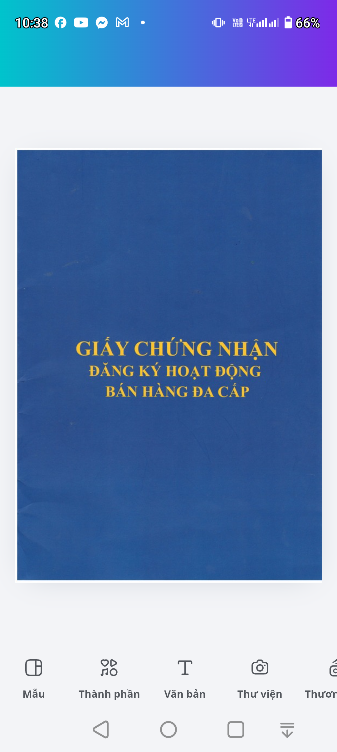 Công ty vnl